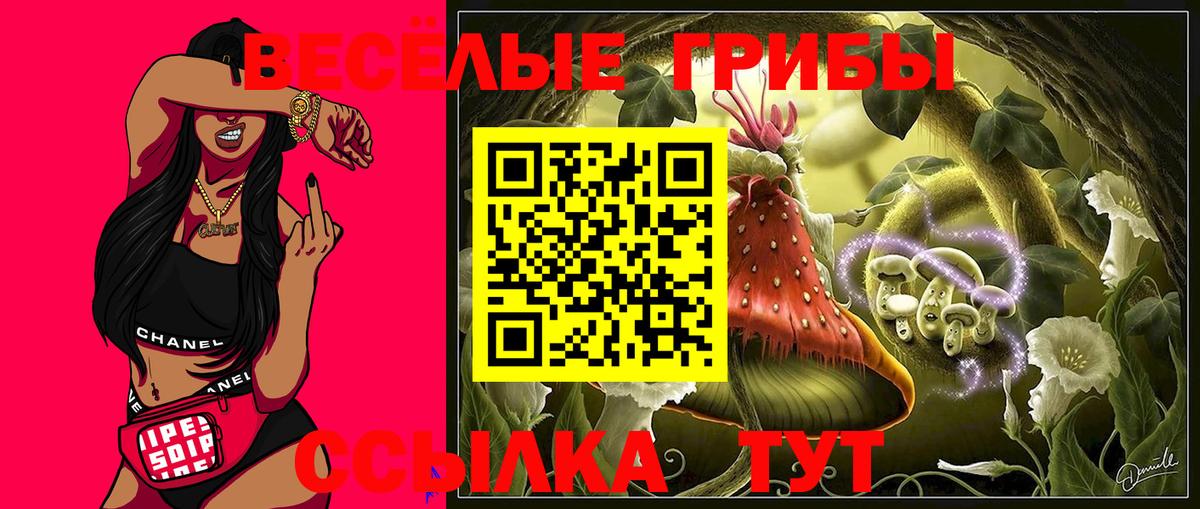 A-PVP Кимры